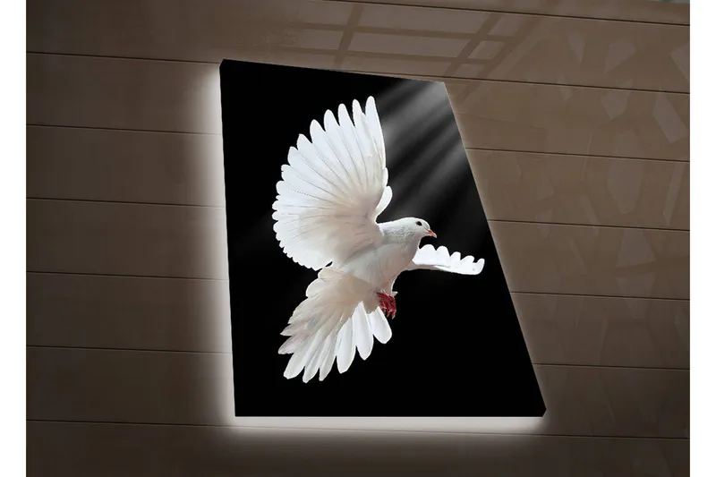 Canvas-taulu LED-valaistuksella 70x45 cm - Valkoinen kyyhky lennossa siivet ojennettuina, Valkoinen / Musta
