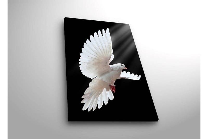 Canvas-taulu LED-valaistuksella 70x45 cm - Valkoinen kyyhky lennossa siivet ojennettuina - Valkoinen / Musta - Sisustustuotteet - Taulu & taide - Canvas-taulu
