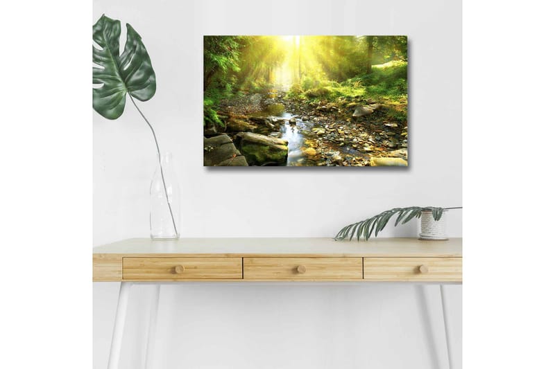 Canvas-taulu LED-valaistuksella - Auringon valaisema metsä ja solina puro, Vihreä / Keltainen / Ruskea