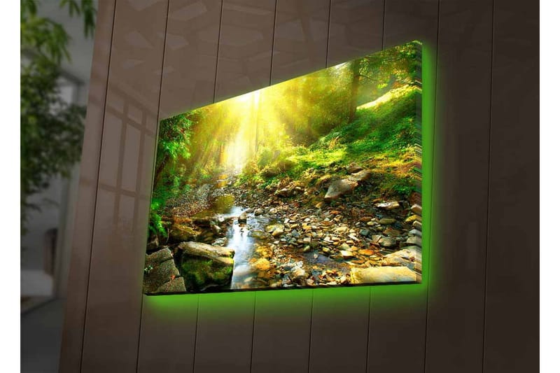 Canvas-taulu LED-valaistuksella - Auringon valaisema metsä ja solina puro - Vihreä / Keltainen / Ruskea - Sisustustuotteet - Taulu & taide - Canvas-taulu