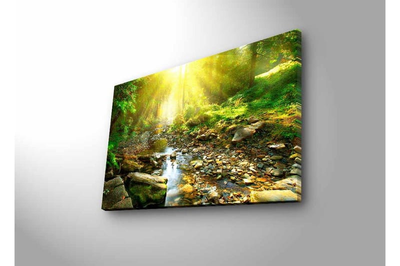 Canvas-taulu LED-valaistuksella - Auringon valaisema metsä ja solina puro - Vihreä / Keltainen / Ruskea - Sisustustuotteet - Taulu & taide - Canvas-taulu