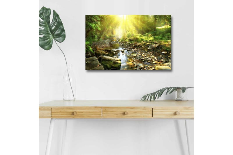Canvas-taulu LED-valaistuksella - Auringon valaisema metsä ja solina puro, Vihreä / Keltainen / Ruskea