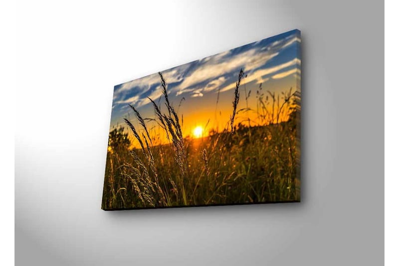 Canvas-taulu LED-valaistuksella - Auringonlasku pellolla ruohonkorsien etualalla - Kulta / Oranssi / Sininen - Sisustustuotteet - Taulu & taide - Canvas-taulu