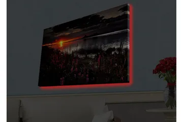 Canvas-taulu LED-valaistuksella - Auringonlasku peilimäisen järven yllä, etualalla kukkivia kasveja - Tummanpunainen / Oranssi / Musta - Sisustustuotteet - Taulu & taide - Canvas-taulu