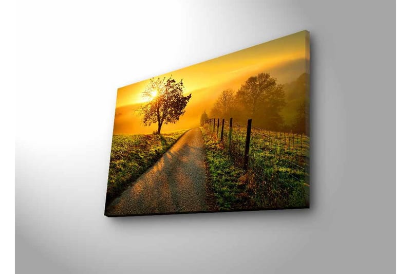 Canvas-taulu LED-valaistuksella - Auringonnousu mutkittelevan tien yllä, puita ja aita - Kulta / Vihreä / Ruskea - Sisustustuotteet - Taulu & taide - Canvas-taulu