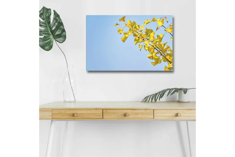 Canvas-taulu LED-valaistuksella - Ginkgo-lehdet kirkasta sinistä taivasta vasten, Keltainen / Sininen