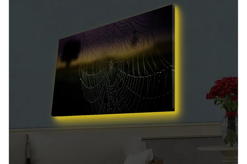 Canvas-taulu LED-valaistuksella - Hämähäkinseitti ja kastepisarat pehmeässä valossa, Musta / Harmaa / Kulta