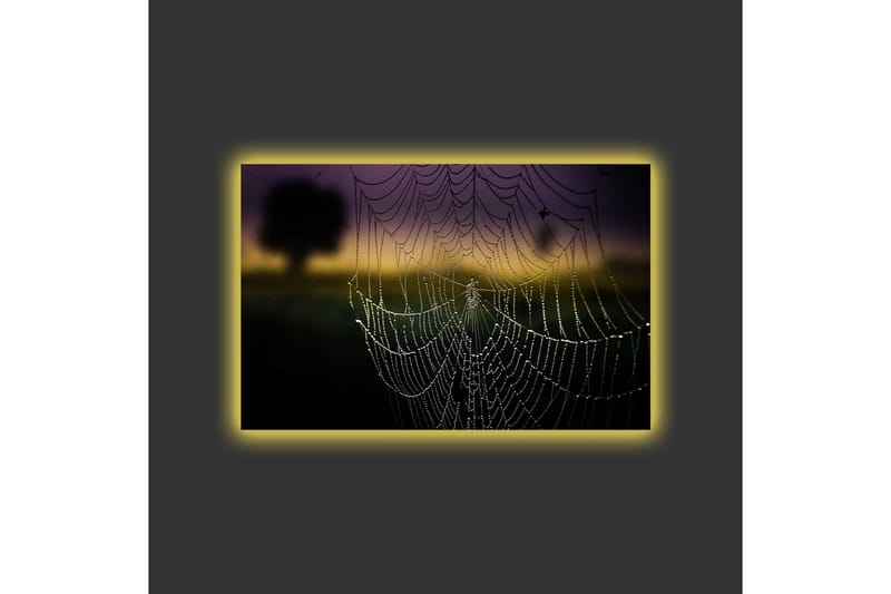 Canvas-taulu LED-valaistuksella - Hämähäkinseitti ja kastepisarat pehmeässä valossa - Musta / Harmaa / Kulta - Sisustustuotteet - Taulu & taide - Canvas-taulu