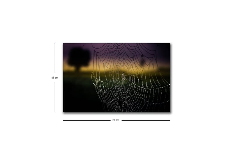 Canvas-taulu LED-valaistuksella - Hämähäkinseitti ja kastepisarat pehmeässä valossa - Musta / Harmaa / Kulta - Sisustustuotteet - Taulu & taide - Canvas-taulu