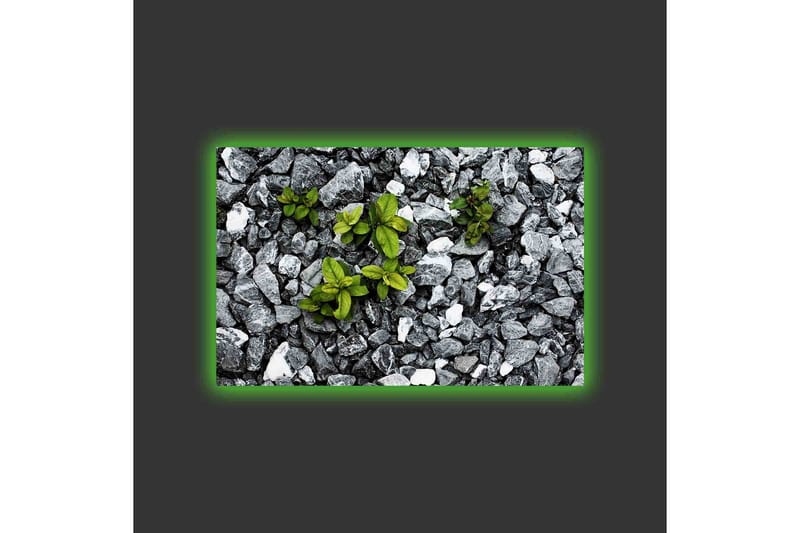 Canvas-taulu LED-valaistuksella - Harmaa kivinen pinta ja vihreitä kasveja - Harmaa / Vihreä - Sisustustuotteet - Taulu & taide - Canvas-taulu