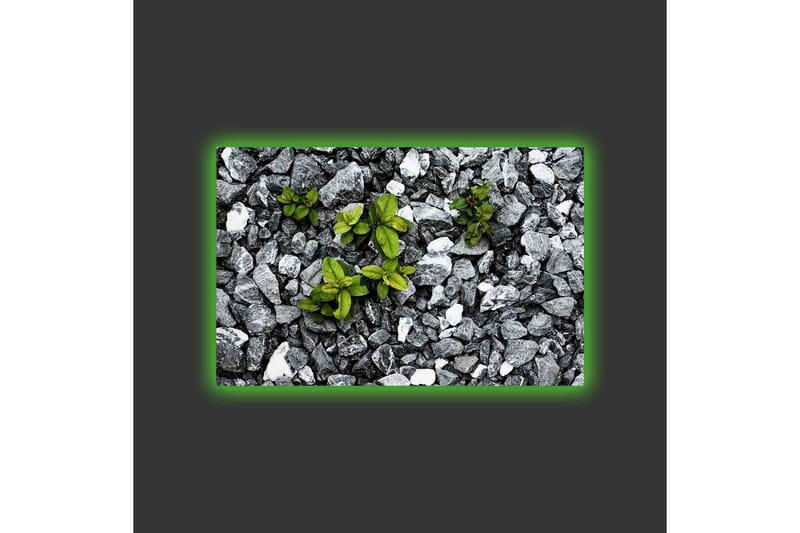 Canvas-taulu LED-valaistuksella - Harmaa kivinen pinta ja vihreitä kasveja - Harmaa / Vihreä - Sisustustuotteet - Taulu & taide - Canvas-taulu