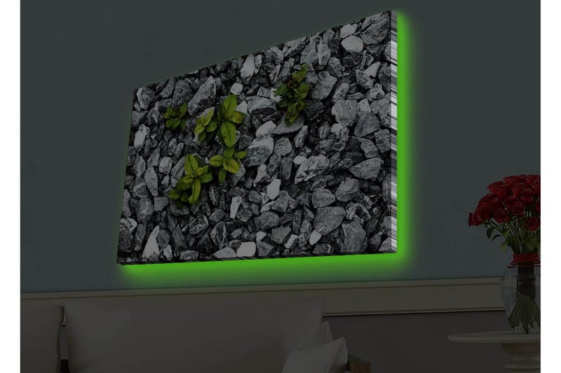 Canvas-taulu LED-valaistuksella - Harmaa kivinen pinta ja vihreitä kasveja - Harmaa / Vihreä - Sisustustuotteet - Taulu & taide - Canvas-taulu