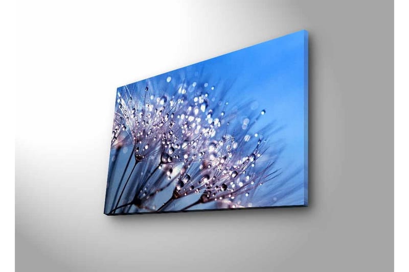 Canvas-taulu LED-valaistuksella - Herkkä kukka-asetelma vesipisaroilla - Sininen / Valkoinen / Violetti - Sisustustuotteet - Taulu & taide - Canvas-taulu