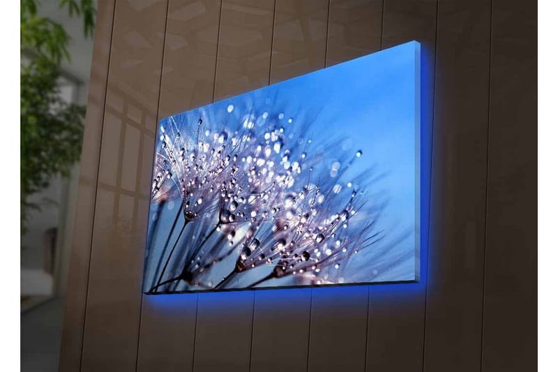 Canvas-taulu LED-valaistuksella - Herkkä kukka-asetelma vesipisaroilla - Sininen / Valkoinen / Violetti - Sisustustuotteet - Taulu & taide - Canvas-taulu