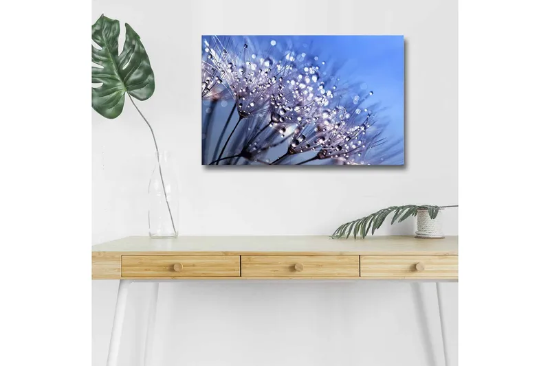 Canvas-taulu LED-valaistuksella - Herkkä kukka-asetelma vesipisaroilla, Sininen / Valkoinen / Violetti