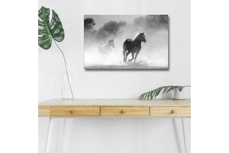 Canvas-taulu LED-valaistuksella - Hevoset laukkaavat sumussa, Musta / Valkoinen / Harmaa