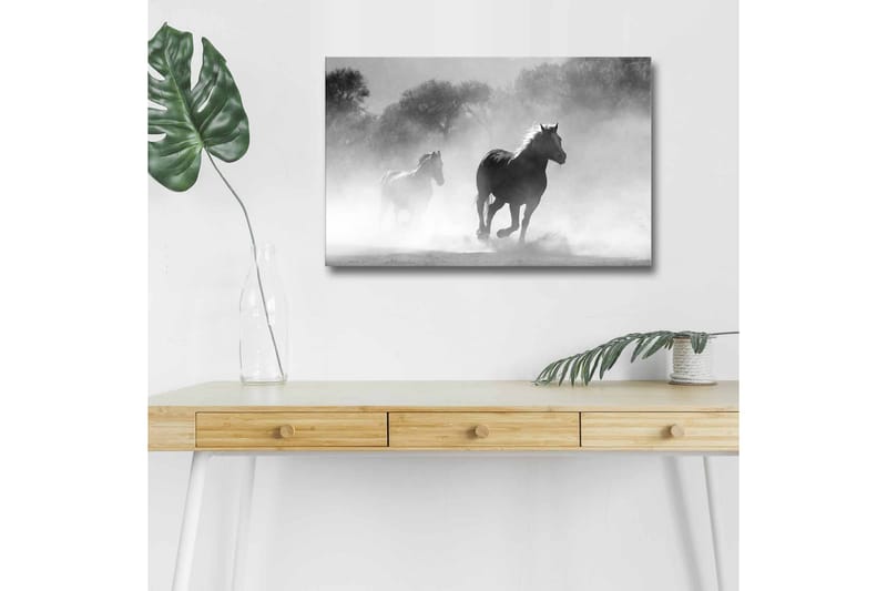 Canvas-taulu LED-valaistuksella - Hevoset laukkaavat sumussa - Musta / Valkoinen / Harmaa - Sisustustuotteet - Taulu & taide - Canvas-taulu