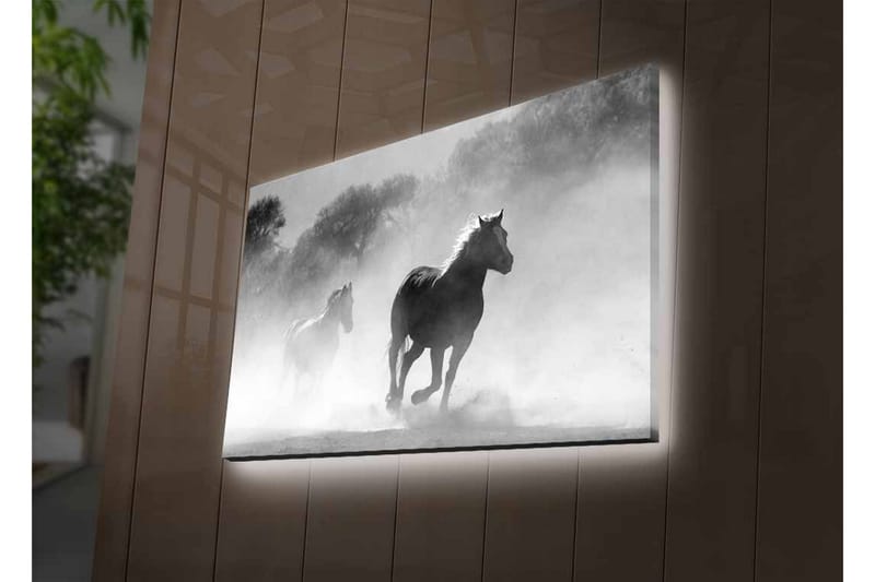 Canvas-taulu LED-valaistuksella - Hevoset laukkaavat sumussa - Musta / Valkoinen / Harmaa - Sisustustuotteet - Taulu & taide - Canvas-taulu