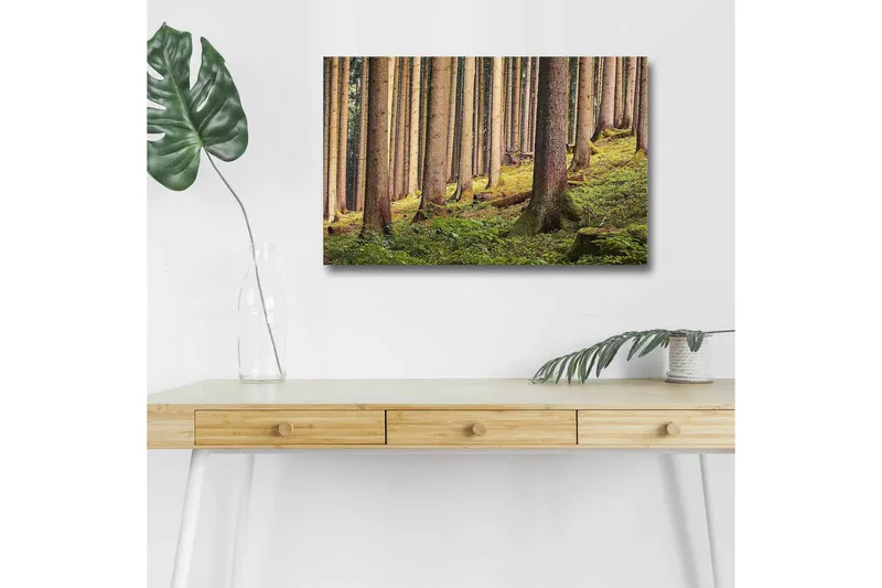 Canvas-taulu LED-valaistuksella - Hiljainen metsä korkeiden puiden ja rehevän vehreyden keskellä, Vihreä / Ruskea / Beige