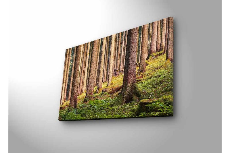 Canvas-taulu LED-valaistuksella - Hiljainen metsä korkeiden puiden ja rehevän vehreyden keskellä - Vihreä / Ruskea / Beige - Sisustustuotteet - Taulu & taide - Canvas-taulu