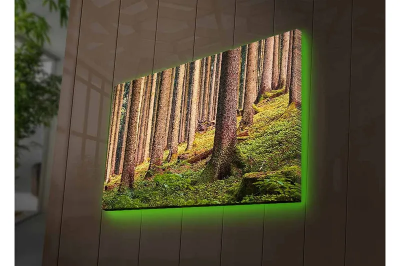 Canvas-taulu LED-valaistuksella - Hiljainen metsä korkeiden puiden ja rehevän vehreyden keskellä - Vihreä / Ruskea / Beige - Sisustustuotteet - Taulu & taide - Canvas-taulu
