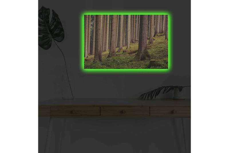 Canvas-taulu LED-valaistuksella - Hiljainen metsä korkeiden puiden ja rehevän vehreyden keskellä - Vihreä / Ruskea / Beige - Sisustustuotteet - Taulu & taide - Canvas-taulu