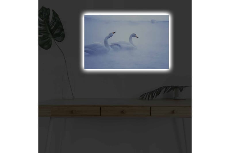 Canvas-taulu LED-valaistuksella - Joutsenet uivat sumuisessa vesiympäristössä - Vaaleansininen / Valkoinen - Sisustustuotteet - Taulu & taide - Canvas-taulu