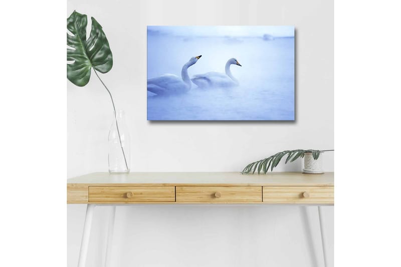 Canvas-taulu LED-valaistuksella - Joutsenet uivat sumuisessa vesiympäristössä, Vaaleansininen / Valkoinen
