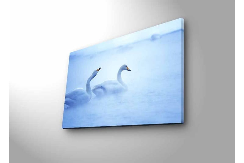 Canvas-taulu LED-valaistuksella - Joutsenet uivat sumuisessa vesiympäristössä - Vaaleansininen / Valkoinen - Sisustustuotteet - Taulu & taide - Canvas-taulu