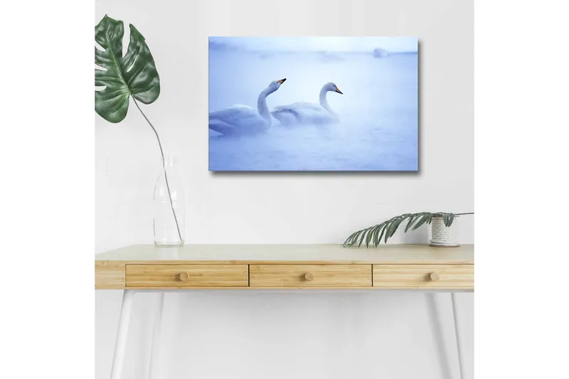 Canvas-taulu LED-valaistuksella - Joutsenet uivat sumuisessa vesiympäristössä, Vaaleansininen / Valkoinen