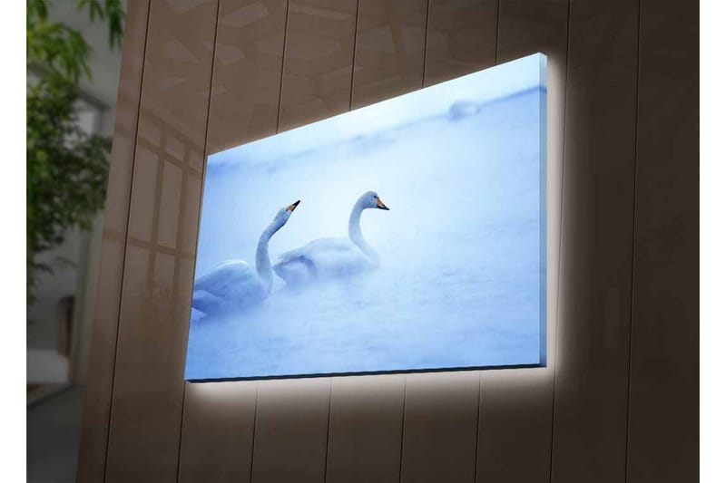 Canvas-taulu LED-valaistuksella - Joutsenet uivat sumuisessa vesiympäristössä - Vaaleansininen / Valkoinen - Sisustustuotteet - Taulu & taide - Canvas-taulu