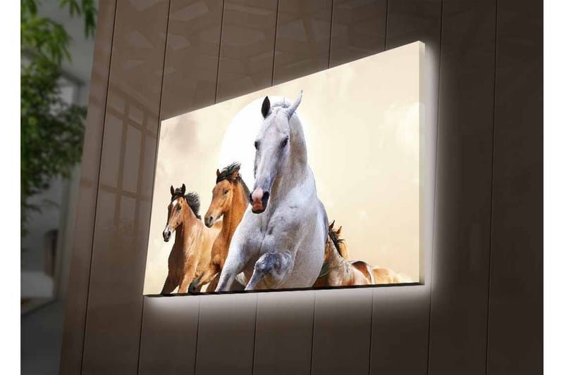Canvas-taulu LED-valaistuksella - Juoksevat hevoset dynaamisessa sommitelmassa - Valkoinen / Ruskea / Beige - Sisustustuotteet - Taulu & taide - Canvas-taulu