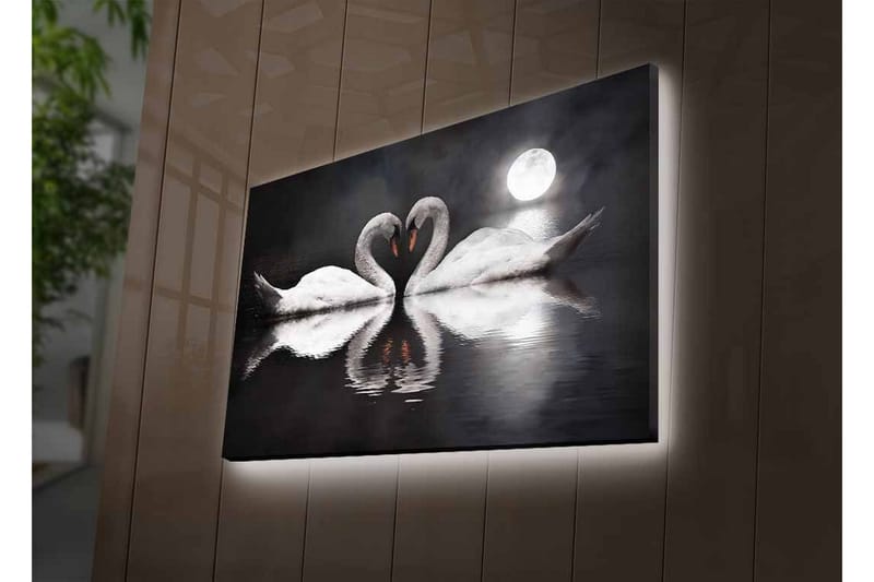 Canvas-taulu LED-valaistuksella - Kaksi joutsenta muodostaa sydämen peilimäisessä järvessä kuun alla - Valkoinen / Musta / Harmaa - Sisustustuotteet - Taulu & taide - Canvas-taulu