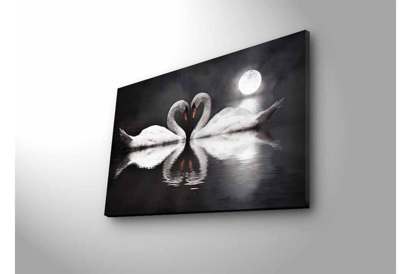 Canvas-taulu LED-valaistuksella - Kaksi joutsenta muodostaa sydämen peilimäisessä järvessä kuun alla - Valkoinen / Musta / Harmaa - Sisustustuotteet - Taulu & taide - Canvas-taulu