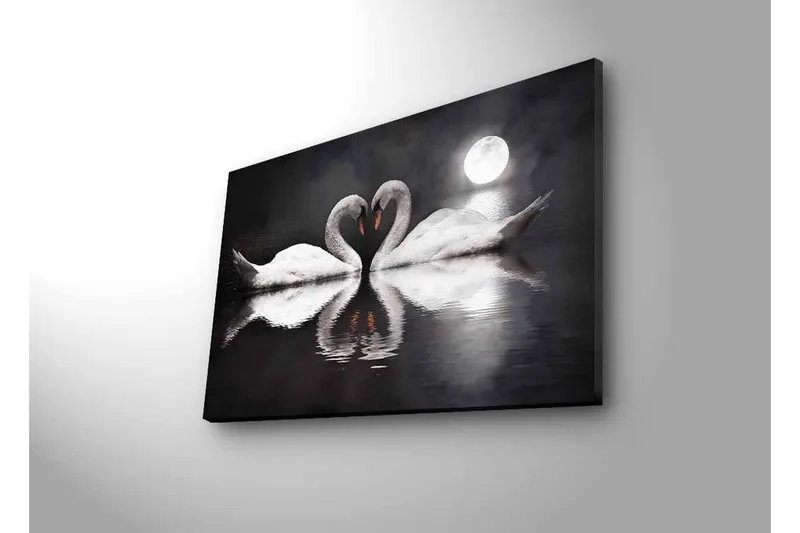 Canvas-taulu LED-valaistuksella - Kaksi joutsenta muodostaa sydämen peilimäisessä järvessä kuun alla - Valkoinen / Musta / Harmaa - Sisustustuotteet - Taulu & taide - Canvas-taulu