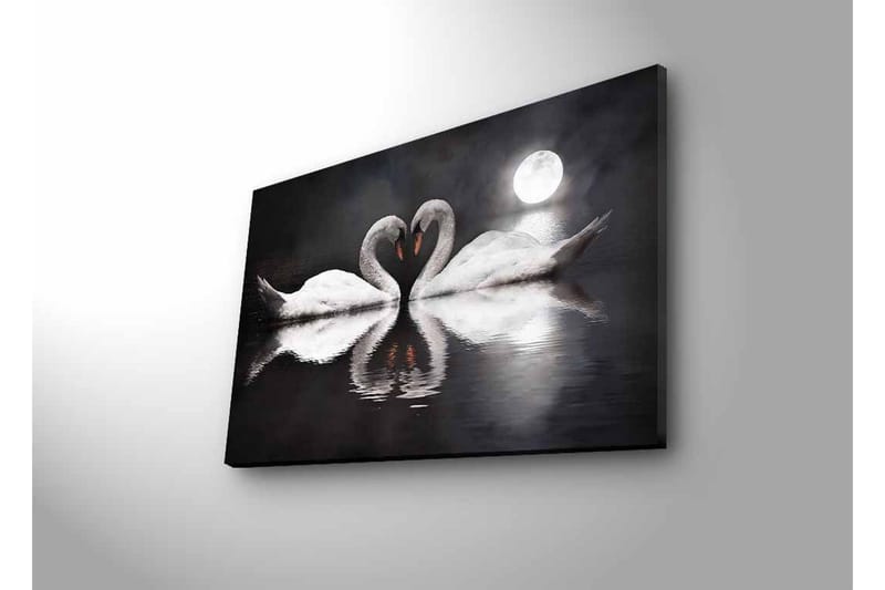 Canvas-taulu LED-valaistuksella - Kaksi joutsenta muodostaa sydämen peilimäisessä järvessä kuun alla - Valkoinen / Musta / Harmaa - Sisustustuotteet - Taulu & taide - Canvas-taulu