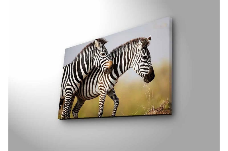 Canvas-taulu LED-valaistuksella - Kaksi seepraa lähellä toisiaan luonnollisessa ympäristössä - Musta / Valkoinen / Beige - Sisustustuotteet - Taulu & taide - Canvas-taulu