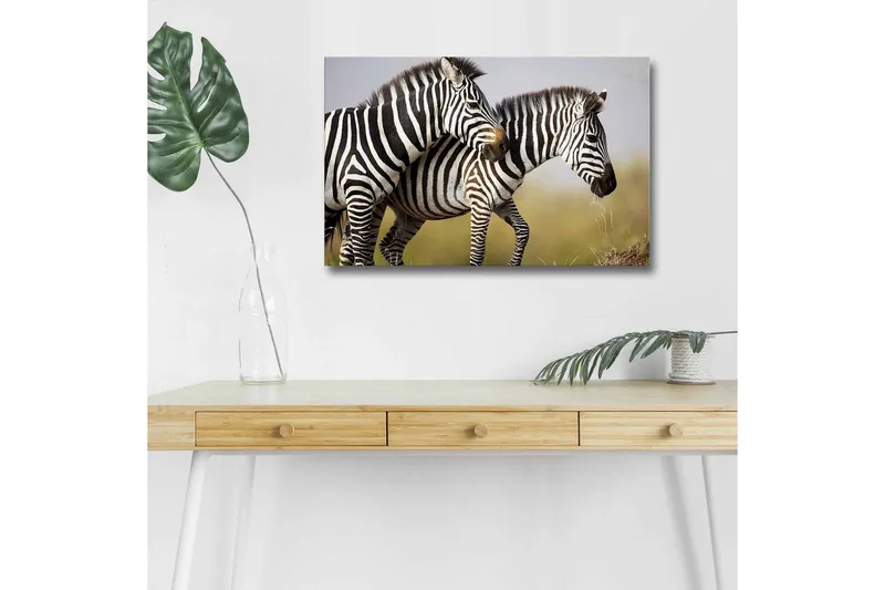 Canvas-taulu LED-valaistuksella - Kaksi seepraa lähellä toisiaan luonnollisessa ympäristössä, Musta / Valkoinen / Beige