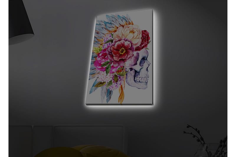 Canvas-taulu LED-valaistuksella - Kallo koristeltuna värikkäillä kukilla ja höyhenillä - Violetti / Vaaleanpunainen / Vihreä - Sisustustuotteet - Taulu & taide - Canvas-taulu