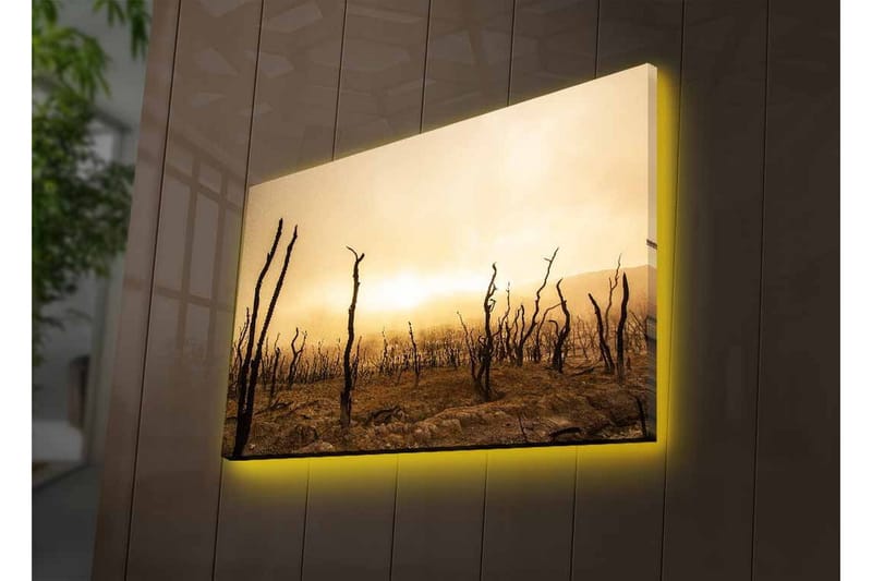 Canvas-taulu LED-valaistuksella - Karu maisema kuolleiden puunrunkojen kanssa - Tummanruskea / Beige / Harmaa - Sisustustuotteet - Taulu & taide - Canvas-taulu