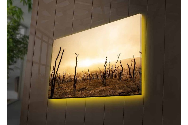 Canvas-taulu LED-valaistuksella - Karu maisema kuolleiden puunrunkojen kanssa - Tummanruskea / Beige / Harmaa - Sisustustuotteet - Taulu & taide - Canvas-taulu