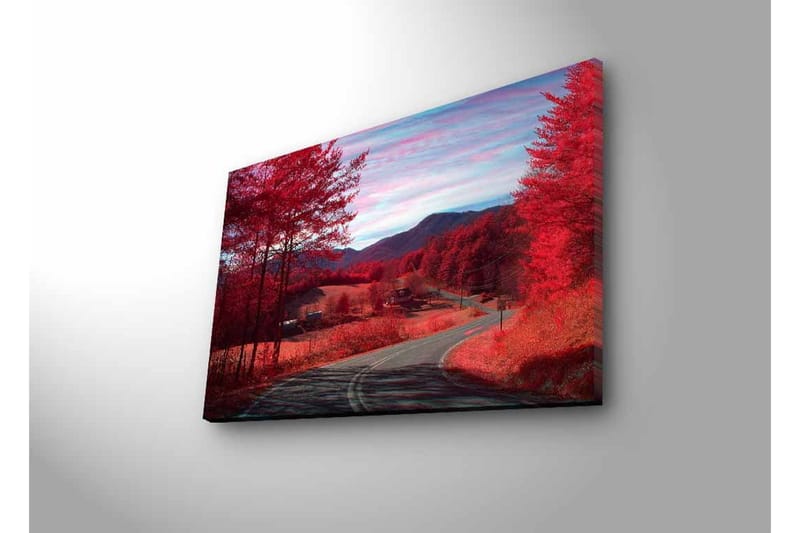 Canvas-taulu LED-valaistuksella - Kaunis maisemanäkymä punaisilla puilla ja mutkittelevalla tiellä - Punainen / Harmaa / Sininen - Sisustustuotteet - Taulu & taide - Canvas-taulu