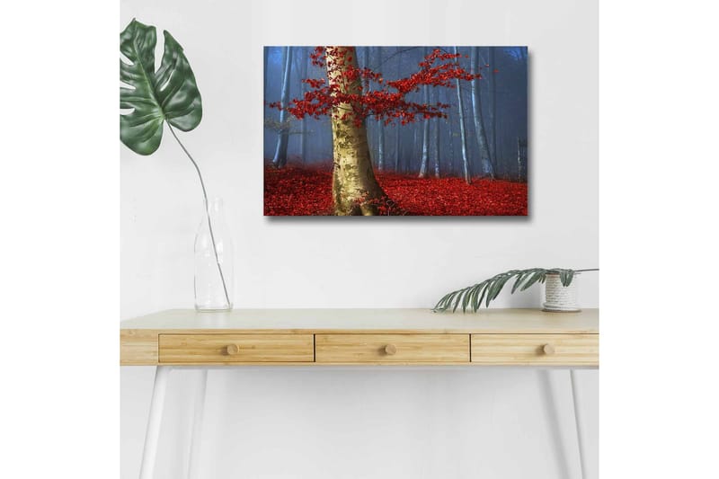 Canvas-taulu LED-valaistuksella - Kaunis metsä punaisilla syksynlehdillä ja kirkkaan rungon kanssa sumussa - Punainen / Vihreä / Sininen - Sisustustuotteet - Taulu & taide - Canvas-taulu