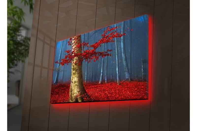 Canvas-taulu LED-valaistuksella - Kaunis metsä punaisilla syksynlehdillä ja kirkkaan rungon kanssa sumussa - Punainen / Vihreä / Sininen - Sisustustuotteet - Taulu & taide - Canvas-taulu