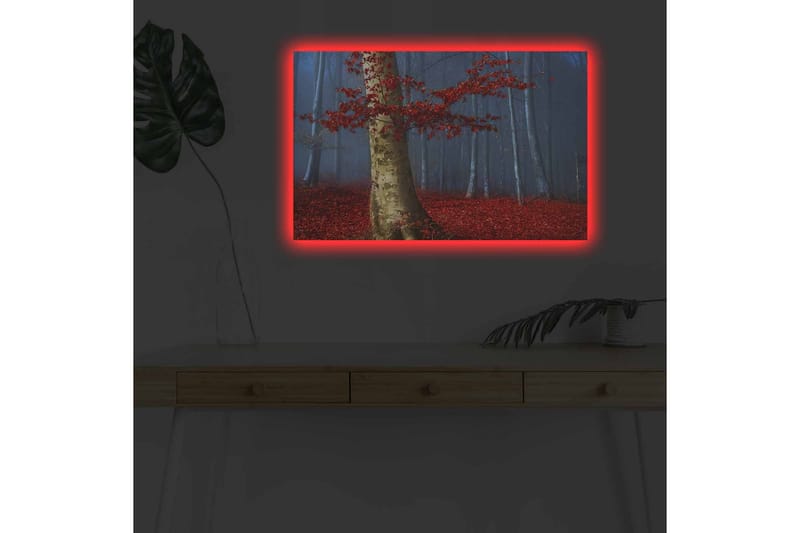 Canvas-taulu LED-valaistuksella - Kaunis metsä punaisilla syksynlehdillä ja kirkkaan rungon kanssa sumussa - Punainen / Vihreä / Sininen - Sisustustuotteet - Taulu & taide - Canvas-taulu