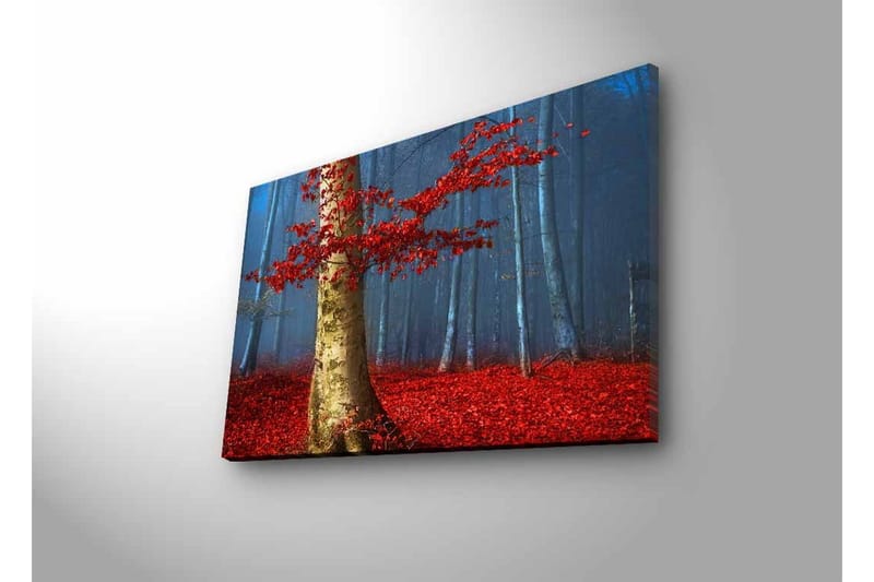Canvas-taulu LED-valaistuksella - Kaunis metsä punaisilla syksynlehdillä ja kirkkaan rungon kanssa sumussa - Punainen / Vihreä / Sininen - Sisustustuotteet - Taulu & taide - Canvas-taulu
