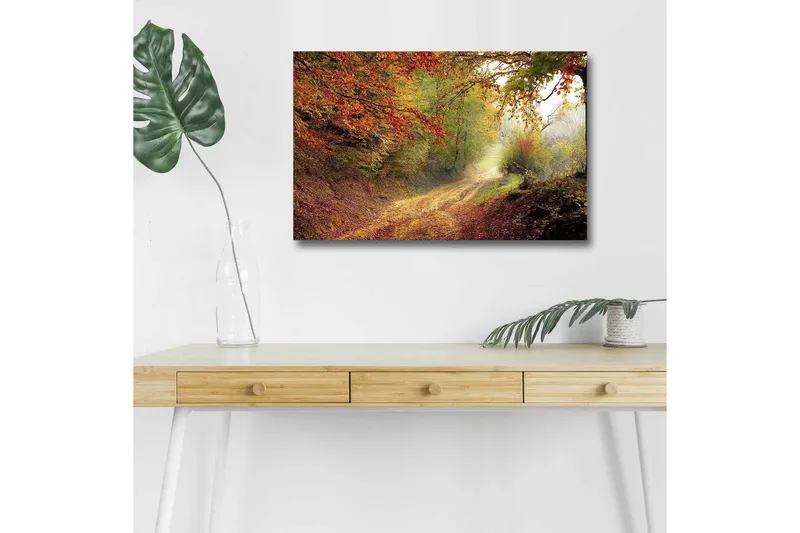 Canvas-taulu LED-valaistuksella - Kaunis metsäpolku syksyn väreissä, Punainen / Vihreä / Ruskea