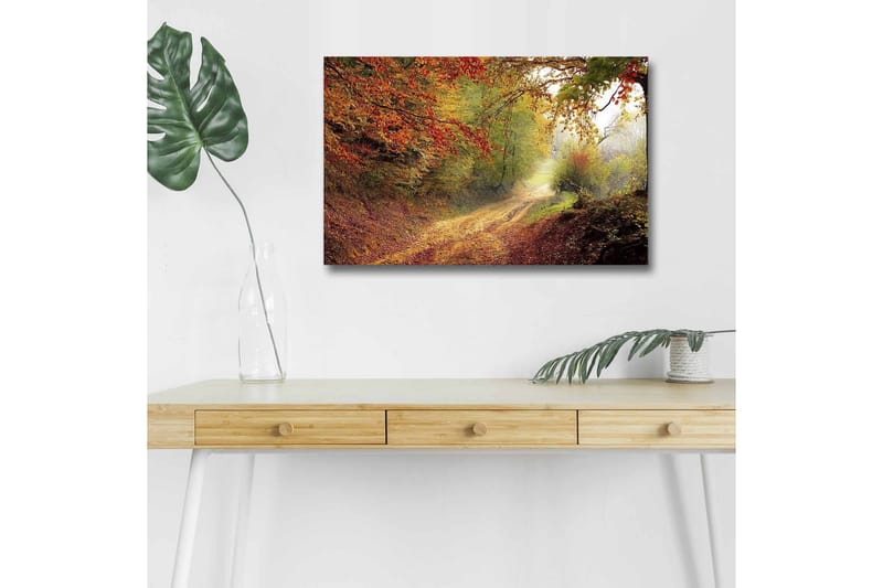 Canvas-taulu LED-valaistuksella - Kaunis metsäpolku syksyn väreissä, Punainen / Vihreä / Ruskea
