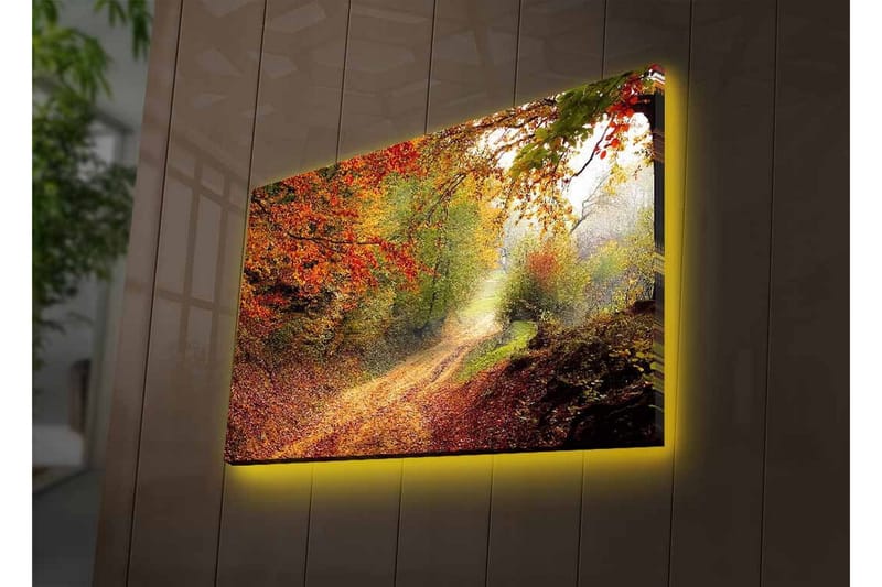 Canvas-taulu LED-valaistuksella - Kaunis metsäpolku syksyn väreissä - Punainen / Vihreä / Ruskea - Sisustustuotteet - Taulu & taide - Canvas-taulu