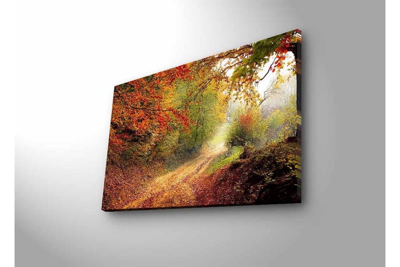 Canvas-taulu LED-valaistuksella - Kaunis metsäpolku syksyn väreissä - Punainen / Vihreä / Ruskea - Sisustustuotteet - Taulu & taide - Canvas-taulu